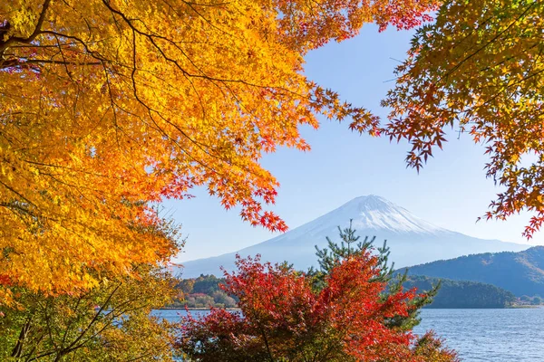 Monte Fuji no lago com árvores de bordo — Fotografia de Stock