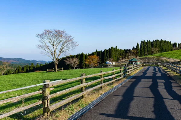 Bela paisagem com montanhas — Fotografia de Stock