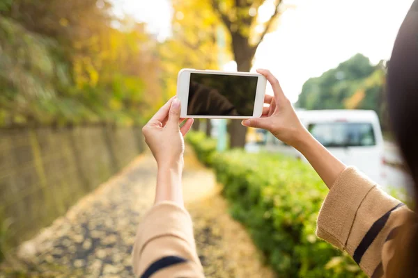 Женщина, использующая мобильный телефон, чтобы сфотографироваться в парке — стоковое фото