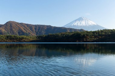 Dağ Fuji ve Saiko Gölü