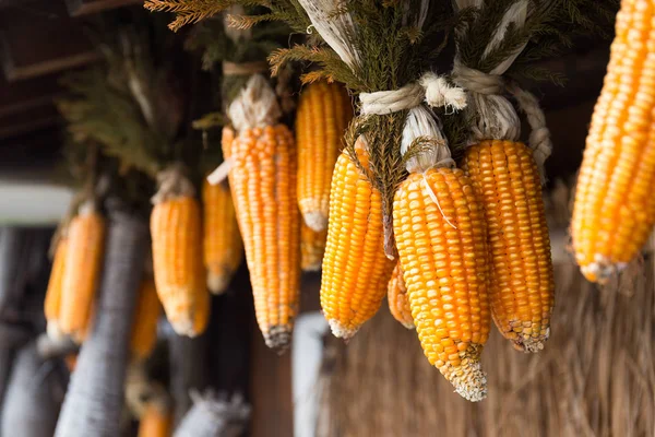 kurutulmuş mısır koçanı 