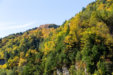 Daikanbo Dağı, Japonya