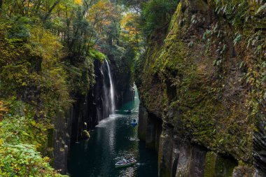 Yellow leaves in Takachiho Gorge clipart
