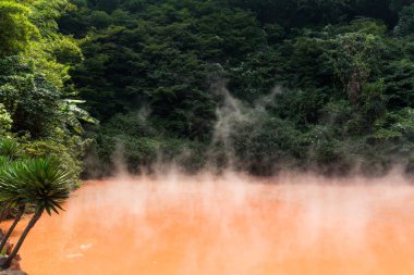 Kan birikintisi hotsprings Beppu içinde