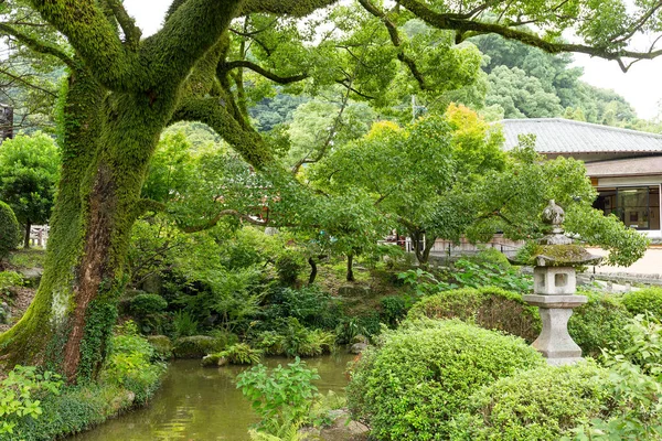 Japanese green garden with building
