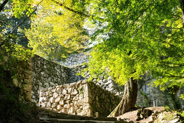 Bitchu Matsuyama kale duvarları içinde Okayama — Stok fotoğraf