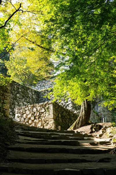 Bitchu Matsuyama kale duvarları — Stok fotoğraf