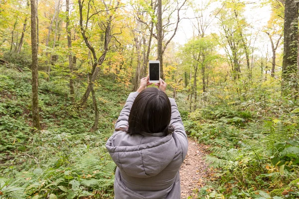 Mujer tomando fotos en el bosque — Foto de Stock