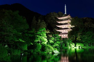 Japon Rurikoji Tapınağı'nda gece