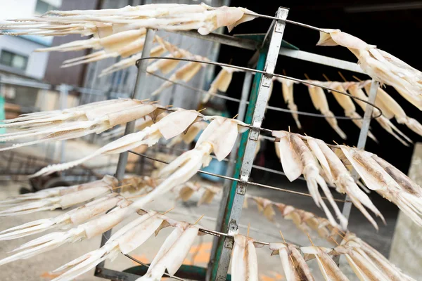 Tintenfisch auf dem Ständer trocknen — Stockfoto