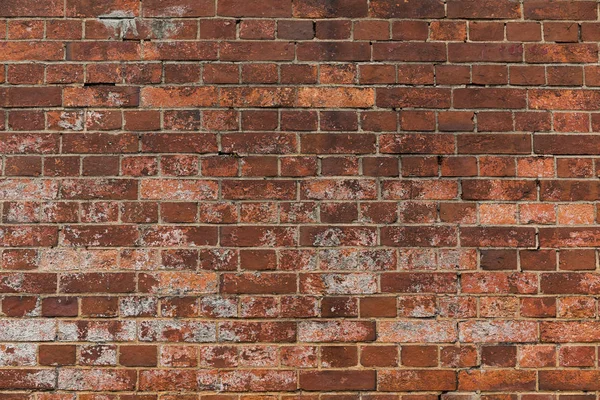 Vintage rode bakstenen muur — Stockfoto