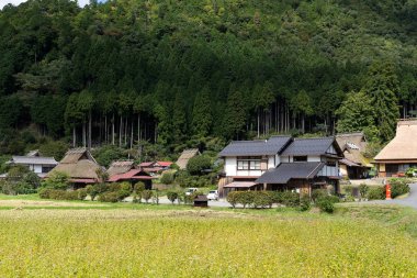 Japonya 'daki Miyama Köyü