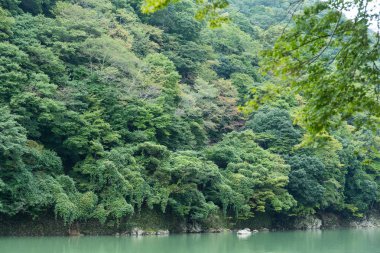 Lake Arashiyama bölgesinde
