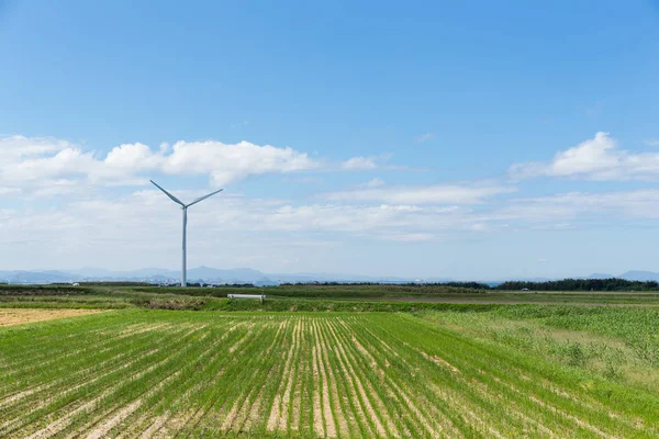 Turbine eoliche che generano elettricità — Foto Stock