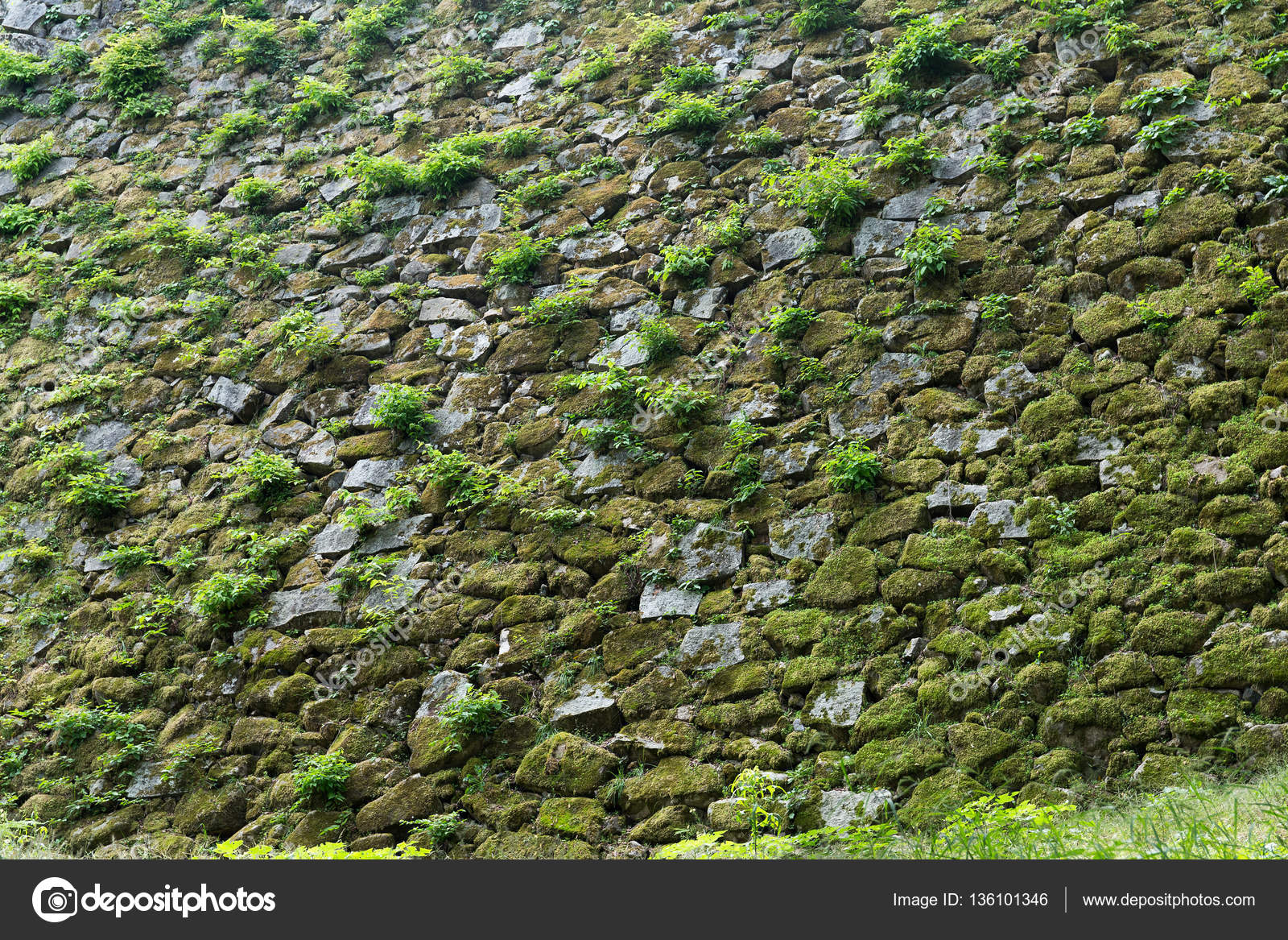 POEMAS SIDERALES ( Sol, Luna, Estrellas, Tierra, Naturaleza, Galaxias...) - Página 21 Depositphotos_136101346-stock-photo-stone-wall-with-moss-texture