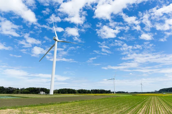 Prato verde con turbine eoliche — Foto Stock