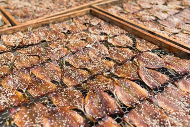 kurutulmuş balık güneş ışığında Kuru