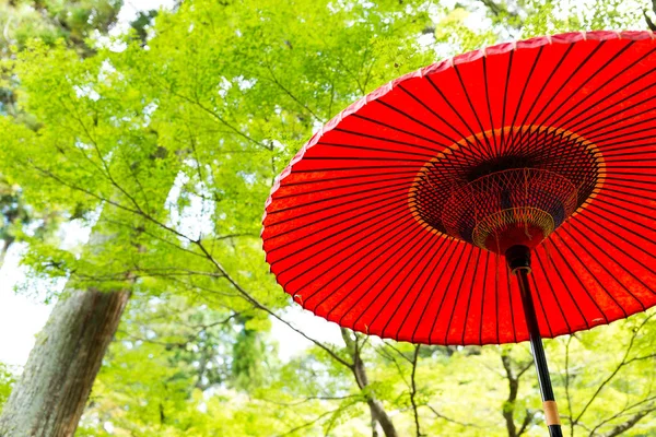 Red umbrella with green trees