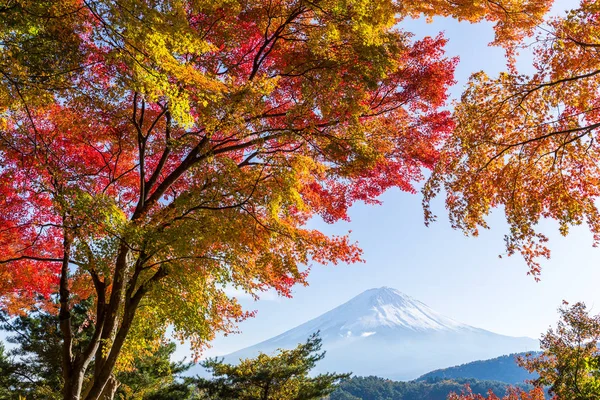 Mt. Fuji in autumn season — Stock Photo, Image