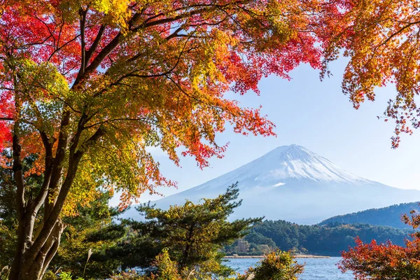 Mt. Fuji en automne — Photo