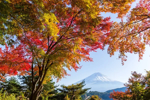 Saison d'automne et montagne Fuji — Photo