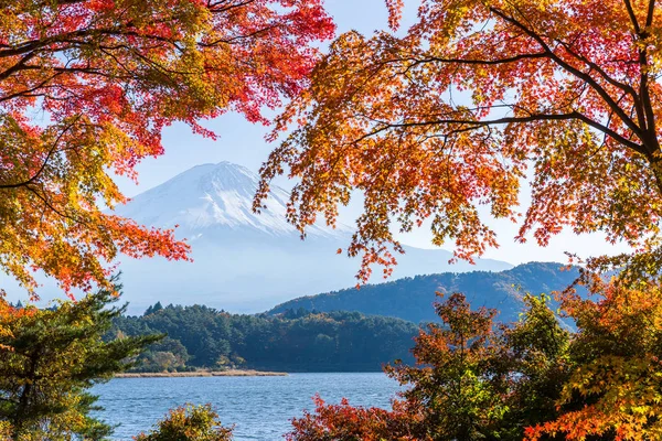 Mt. Fuji desde el lago Kawaguchi en otoño —  Fotos de Stock