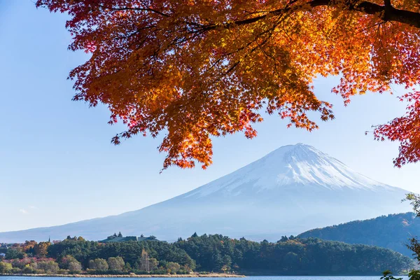 Vörös juhar fa és a Mt. Fuji — Stock Fotó