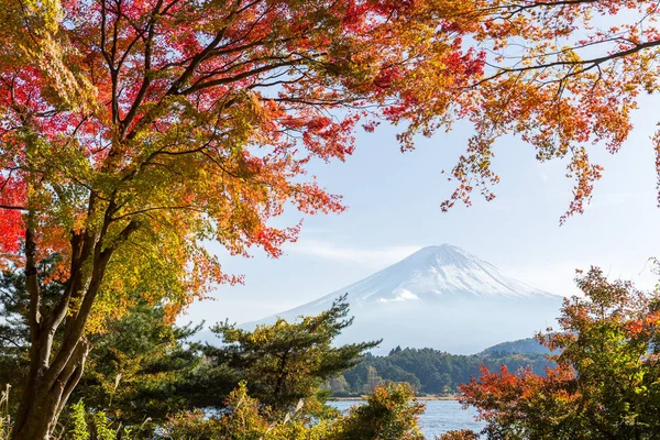 Mt. Fuji-őszi szezonban — Stock Fotó