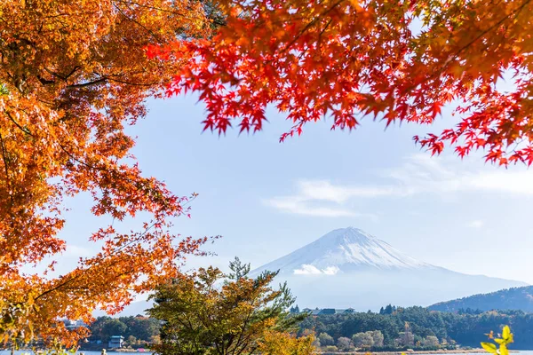 Feuilles d'érable et Mt. Fuji ! — Photo