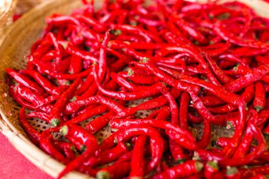 Kırmızı acı biber.
