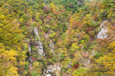 Sonbahar değil Gorge toplayan 