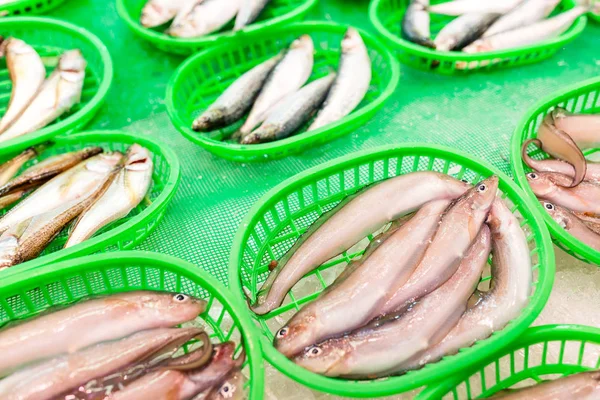 Balık pazarı potalara balık