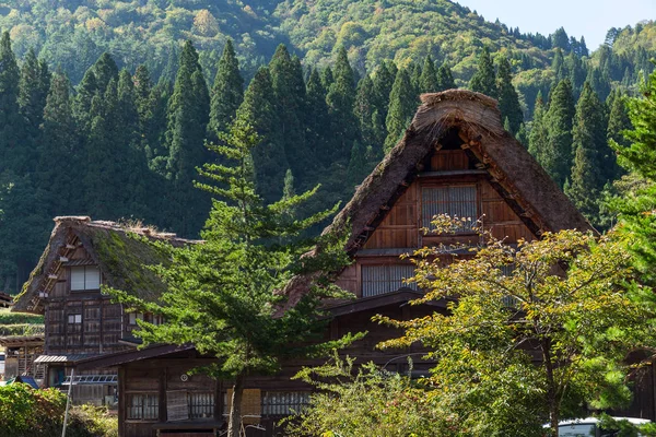 Tarihsel Japon Köyü 