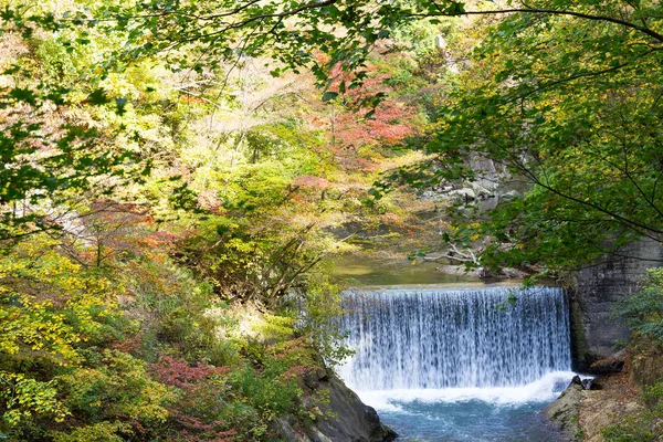 Herbstwald und Wasserfall — Stockfoto