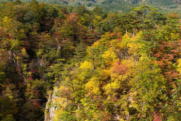 Autumn Naruko canyon — Stock Photo, Image