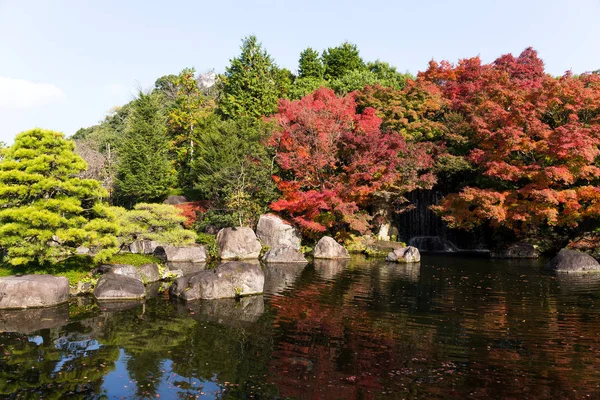 Podzimní Kokoen zahrada — Stock fotografie