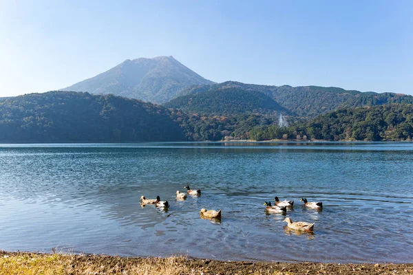 Mount Kirishima och ankor i sjön — Stockfoto