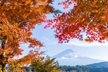 MT Fuji sonbahar Gölü Kawaguchiko görünümünden içinde