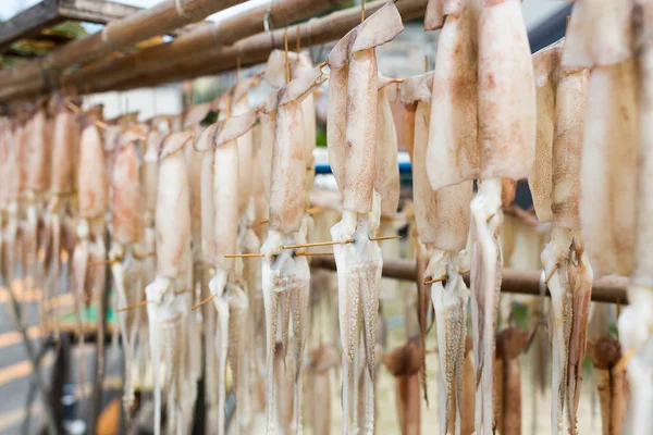 Drying squids hanging on the rack — Stock Photo, Image