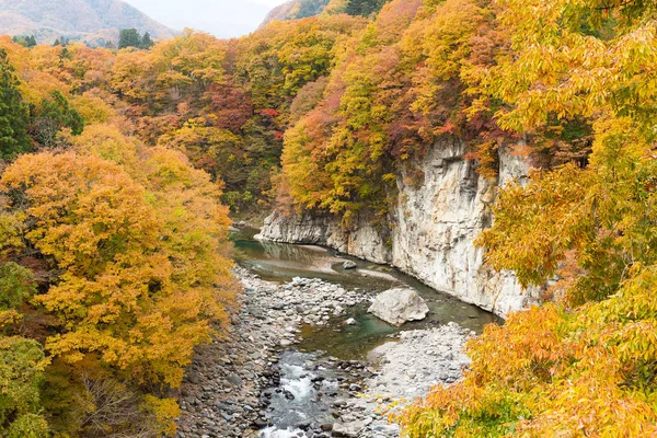 Hösten bergslandskapet dalen — Stockfoto