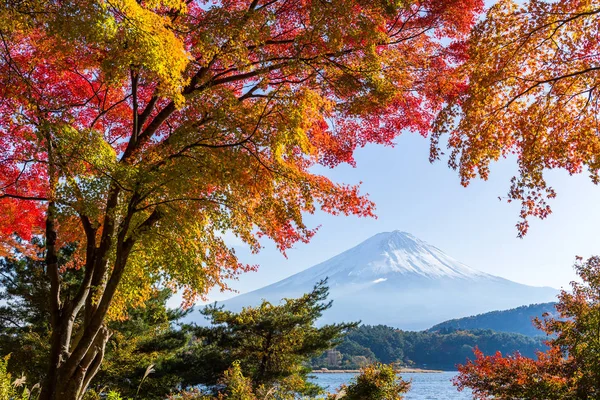 Fuji de montanha com árvores de bordo — Fotografia de Stock