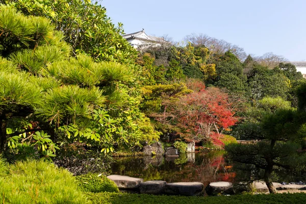 Japanse tuin met rode esdoorn-bomen — Stockfoto