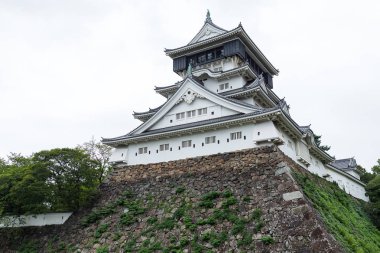 Japonya 'daki Kokura Kalesi 