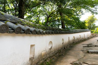 Bitchu Matsuyama Japon kale