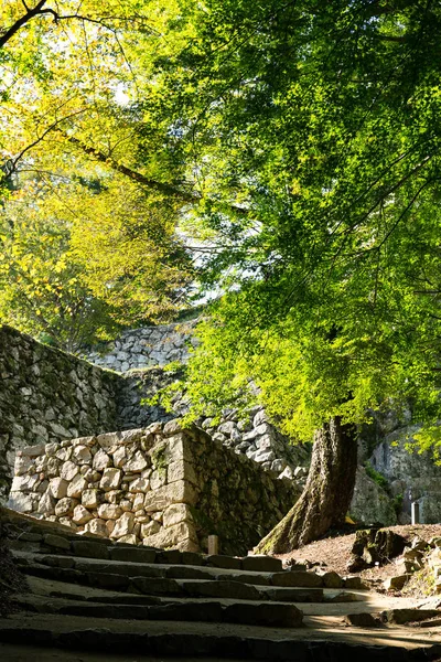 Zdi hradu Macujama Biččú v Okayama — Stock fotografie