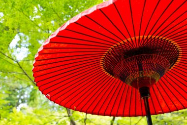 Yeşil ağaçların altında Japon kırmızı şemsiye