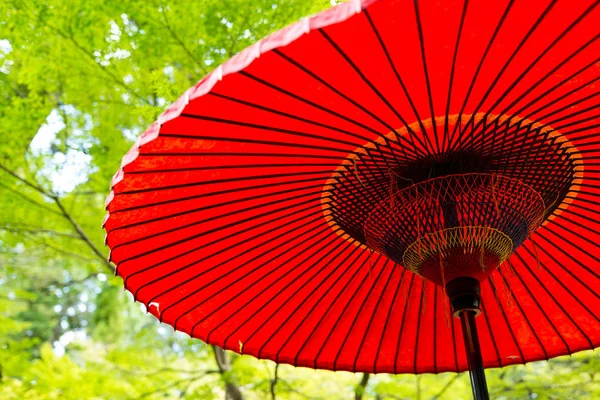 Japanse rode paraplu onder de groene bomen — Stockfoto