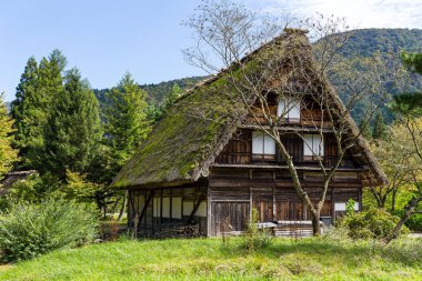 Japon geleneksel ev