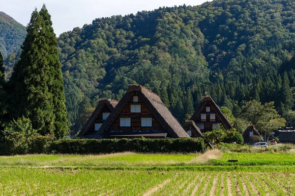 Pueblo japonés tradicional e histórico Shirakawago — Foto de Stock