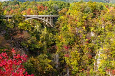 Yine de değil Gorge geçen sonbaharda Köprüsü